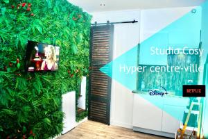 Appartements Les studios de l'hyper centre ville : photos des chambres