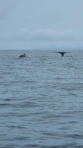 Hotel Bahía Yubarta