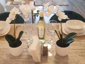 Book Cozy King Bed Now 25 Percent OFF Spring Special!