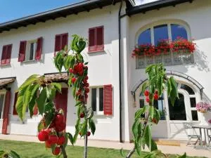 la Mafalda in Oltrepo - Case del Molino