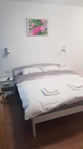 Apartament 1 Budiu
