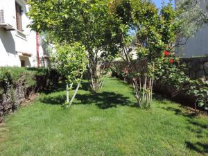 Apartmani Antica