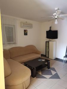 Apartment Robi