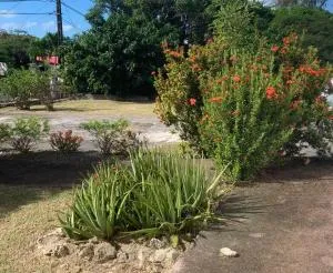 VILLA MARIE-CĹOTILDE - Plaisance