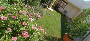 Oasis Cochera opcional