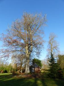 B&B / Chambres d'hotes Suite E Andre Le Domaine Des Jardins De Bracquetuit : photos des chambres