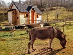 Maisons de vacances Cab'anes du Pibeste : photos des chambres