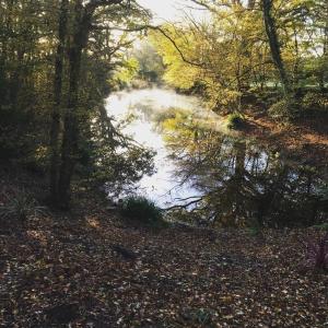 Bluebell shepherds Hut