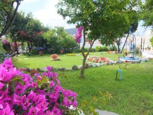 Il Mediterraneo - Adults Only