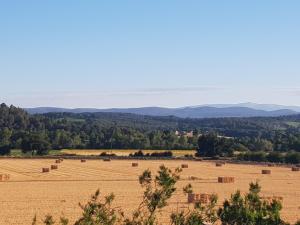 Maisons de vacances Entre ble et lavande : photos des chambres