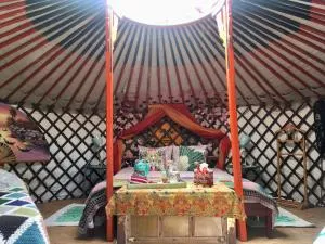 法哈拉庄园露营地 - 卡尔塔马