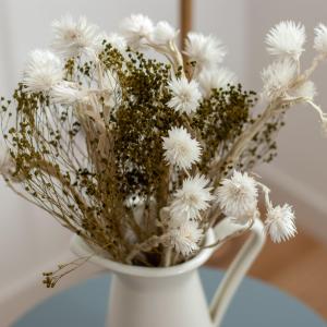 Stilla Ristorante e Camere