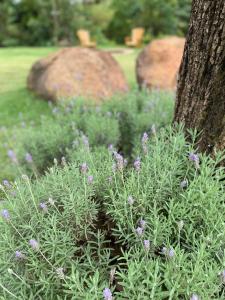 Pousada Boutique das Pedras