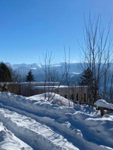 Maisons de vacances L-Avancee Chalet contemporain au coeur du Sancy AUVERGNE : photos des chambres