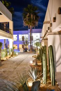 Hotel Plaza Cuatro Ciénegas