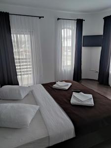 Deluxe Double Room room in Pensiunea Tincu