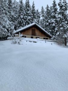 Chalets Ancienne Bergerie au coeur de la nature dans le parc du Vercors. : photos des chambres