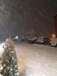 Narcis 17 - novonamesteni apartman sa prelepim pogledom na Tornik