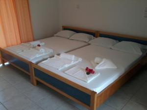 Hotel Fotini Epirus Greece