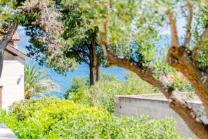 Apartment Lili - 3hvězdičkové hotely ve městě Splitska