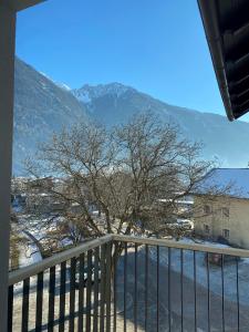 Hotel Mühlenerhof