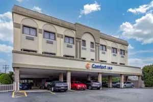 Comfort Inn Syosset-Long Island - 拉伊