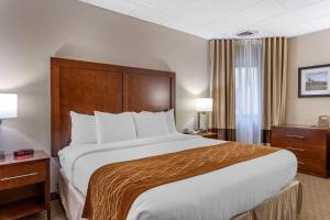 King Room with Roll-In Shower - Accessible/Non-Smoking room in Comfort Inn Syosset-Long Island