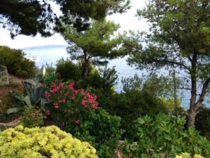 Holiday home in Sali with sea view, terrace 4420-1