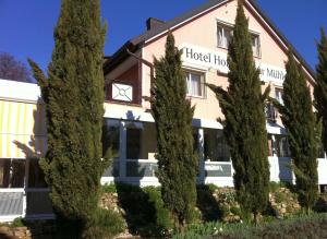 Hotel Hofmann Zur Mühle