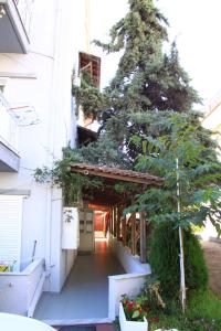 Galanis Studios and Apartments Olympos Greece