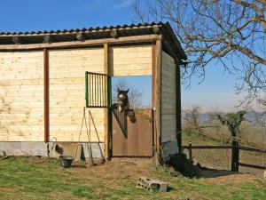 Apartment Paolo by Interhome