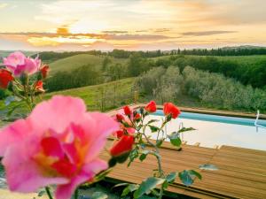 Apartment Podere La Torre-1 by Interhome