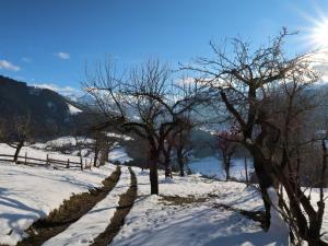 Chalet Feldkasten by Interhome