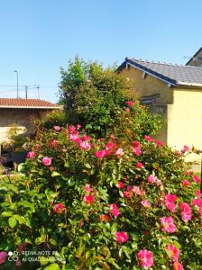 Sejours chez l'habitant CHEZ CELINE en campagne : photos des chambres