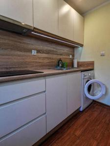 Apartament Wisła Centrum