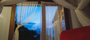 Rustiko Palomino Sierra Nevada