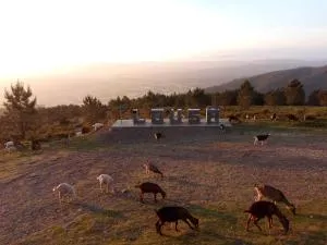 Casa do Pastor - Chiqueiro