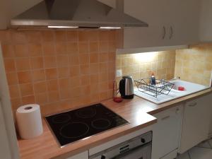 Grand appartement Lumineux