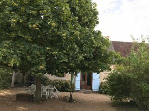 Maisons de vacances Gite Chateaudun, 3 pieces, 4 personnes - FR-1-581-71 : photos des chambres