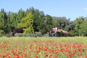 Maisons de vacances Le Jardin d'Erables St Remy 7 HA Piscine/Clim : photos des chambres