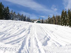 Apartma Bellevue Rogla