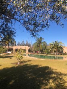 Oasis Jena Marrakech