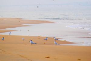 Khomba Beach House