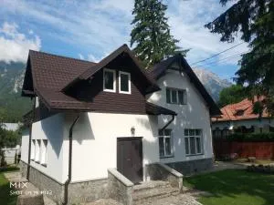 Vila Panduri 23 - Poiana Ţapului