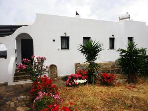 Thomas Apartments Katapola - Chora Amorgos Greece