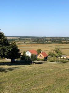 Kellerstöckl Postrumer Weinberg 48