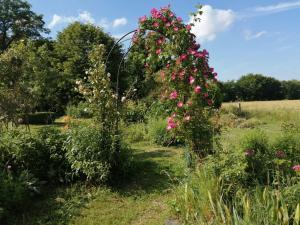 B&B / Chambres d'hotes Les Berges de la Planchette : photos des chambres
