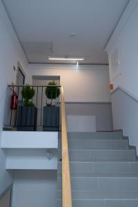 Pensjonat Dominikański