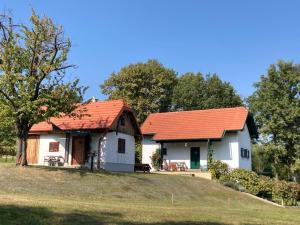 Kellerstöckl Postrumer Weinberg 48