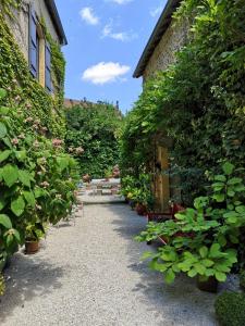 Maisons de vacances Maison d'hotes - Les Tillets : photos des chambres